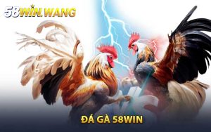 Đá Gà 58WIN