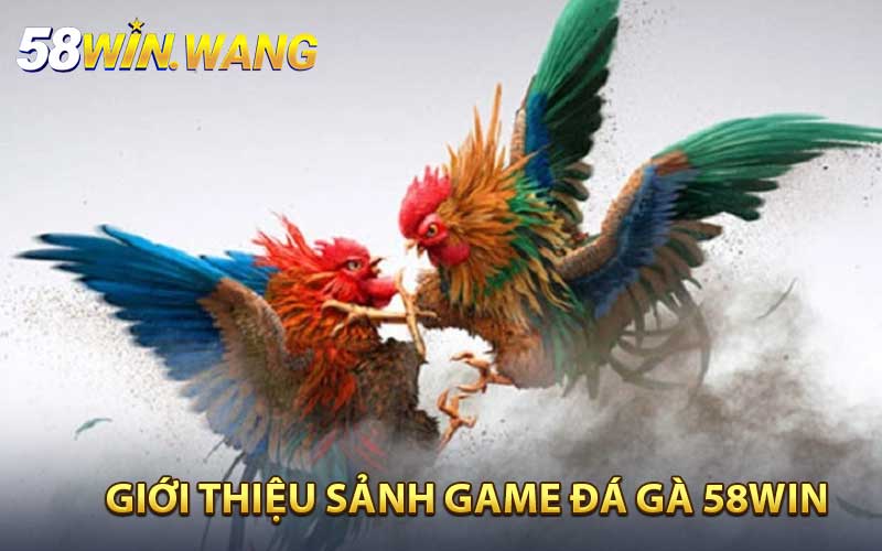 Giới thiệu khái quát sảnh game đá gà 58WIN